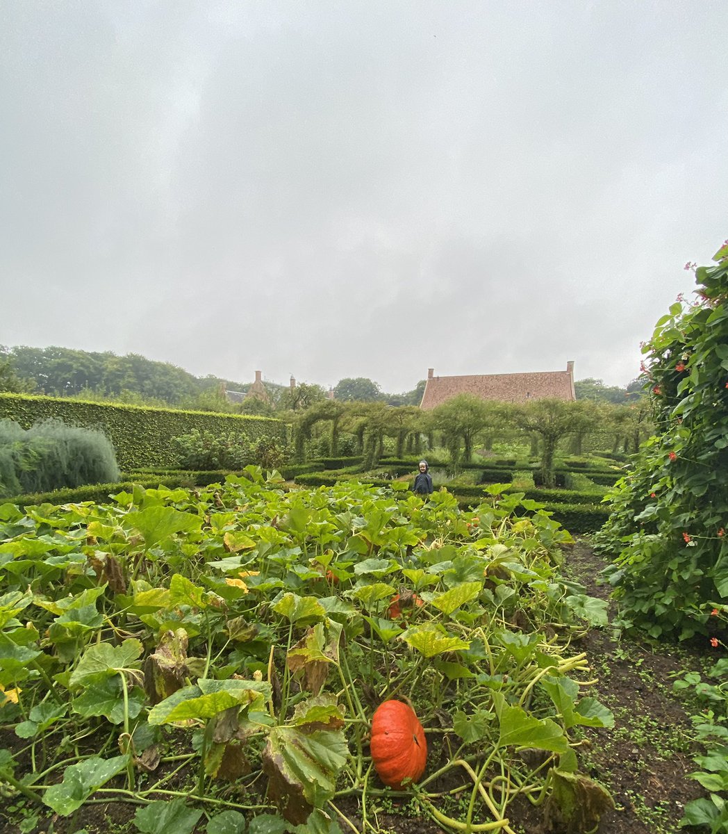 AfienavanZanten's tweet photo. @menkemaborg by rain #borgbaas #uithuizen #museumweer https://t.co/nOk4TAuYYd