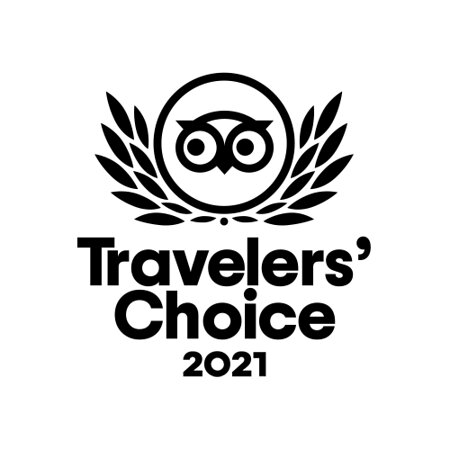 📣 NEWS JUST IN 📣

We have won the traveler's choice award again for 2021 🎉😊

Thank you to all of you who continue to support us, and we hope we can continue to provide an unforgettable day out for you and your family!