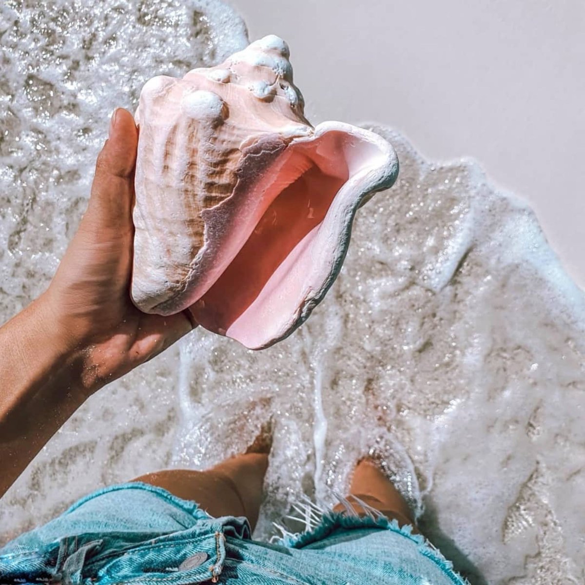 TheExumaDream's tweet photo. Every seashell has a story, the queen conch lives up to 40 years π
πΈ: @karinknowlesmakeup
#ParadisePostcards ππ§πΈ
#exumadream #exuma #bahamas #exumablue #theexumafilter #livethelifeyoulove #adventure #comevisitagain #thatexumakindoffeeling #myoutislands #paradise #trav ... https://t.co/Ti0rtQG8gd
