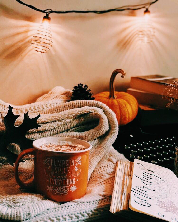 boohoo's tweet photo. Autumn approaching 🍁 https://t.co/OI1lLizd9Y