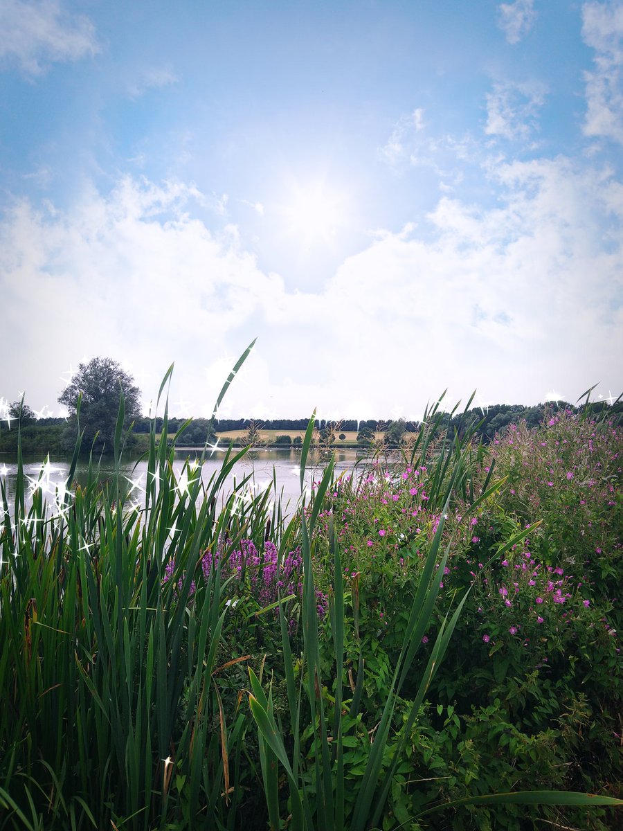 maryjane2374's tweet photo. Favourite photo from yesterday - Willen Lake in Milton Keynes
#beautifulbucks #localexploring https://t.co/AVZ33YLZNB