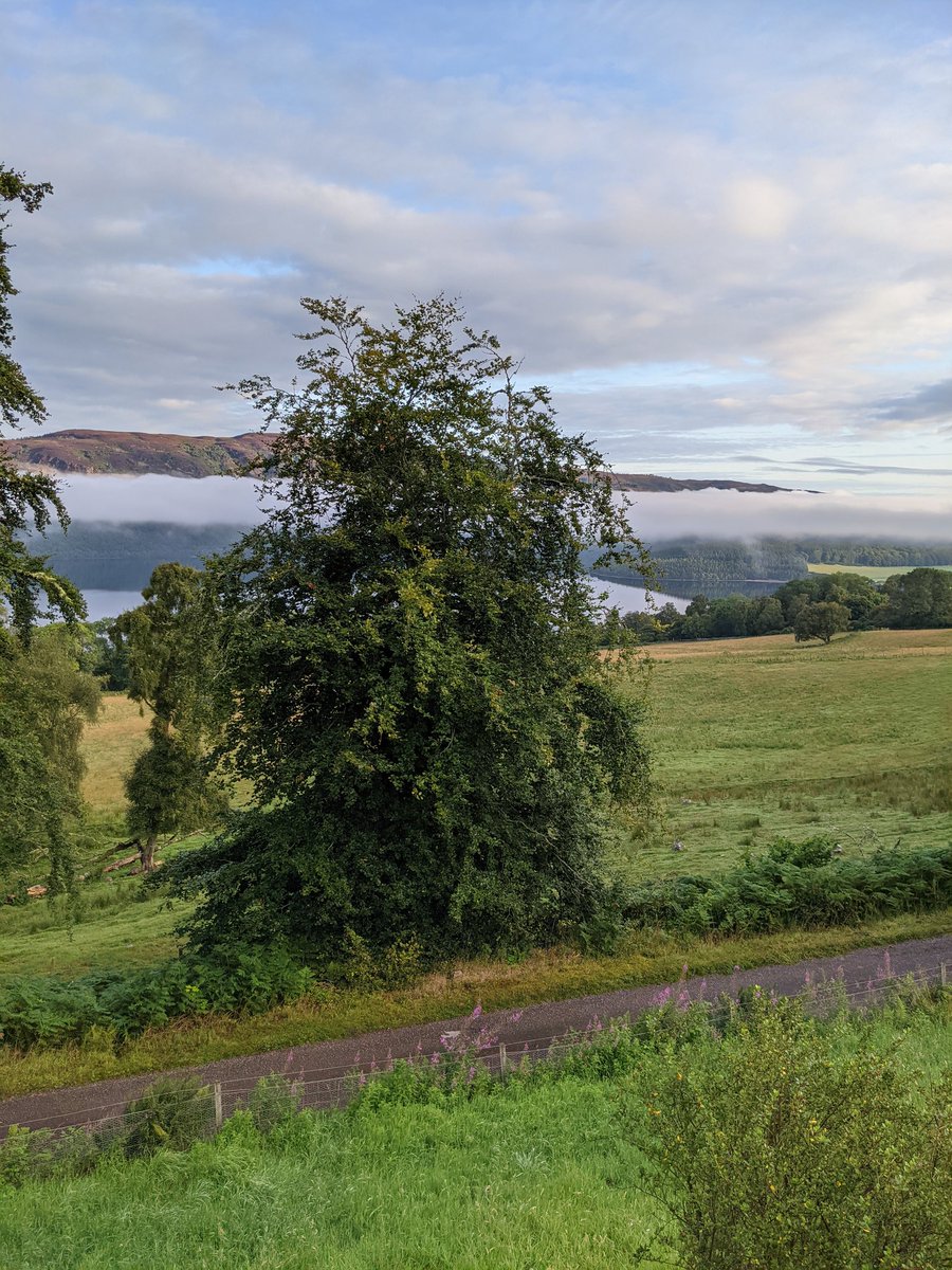 Loch Ness Spirits® tweet media