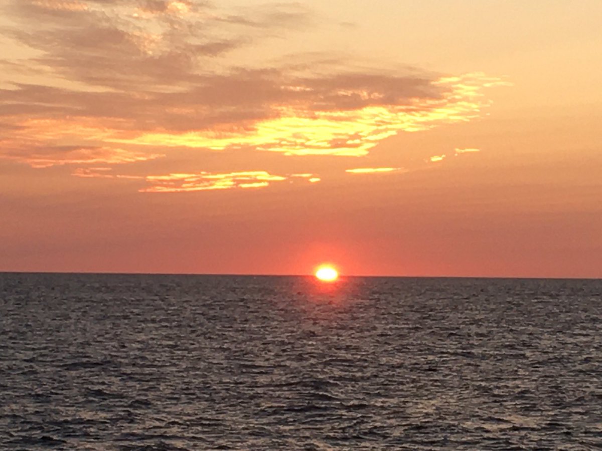 acmicrobio's tweet photo. One of the perks of doing night shift at sea #AtlanticCondor #SealsHuntSeeps https://t.co/oK13EL1w0u