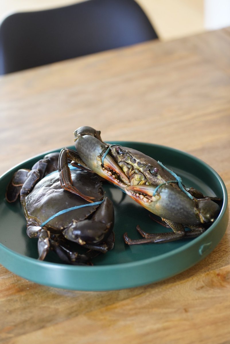 Fran Marshall tweet media