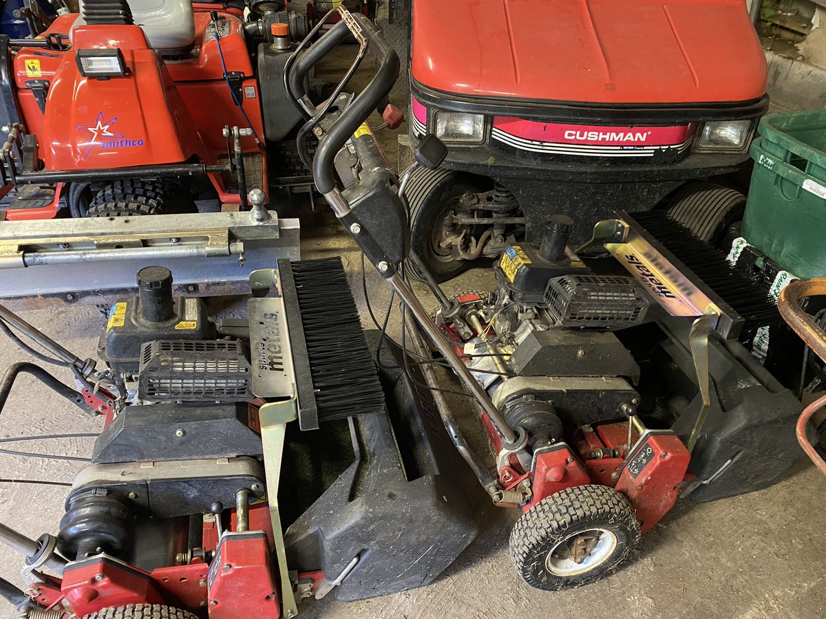 Redlibbets Greenstaff tweet media