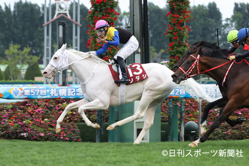 競走馬ソダシの母 ブチコ 厩務員さんとのイチャラブ加減が超可愛いので見て 厩務員さんもブチコと模様を合わせてて愛が深すぎた Togetter