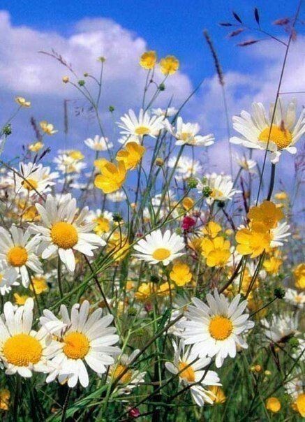 Good morning 🌞 🤍💛