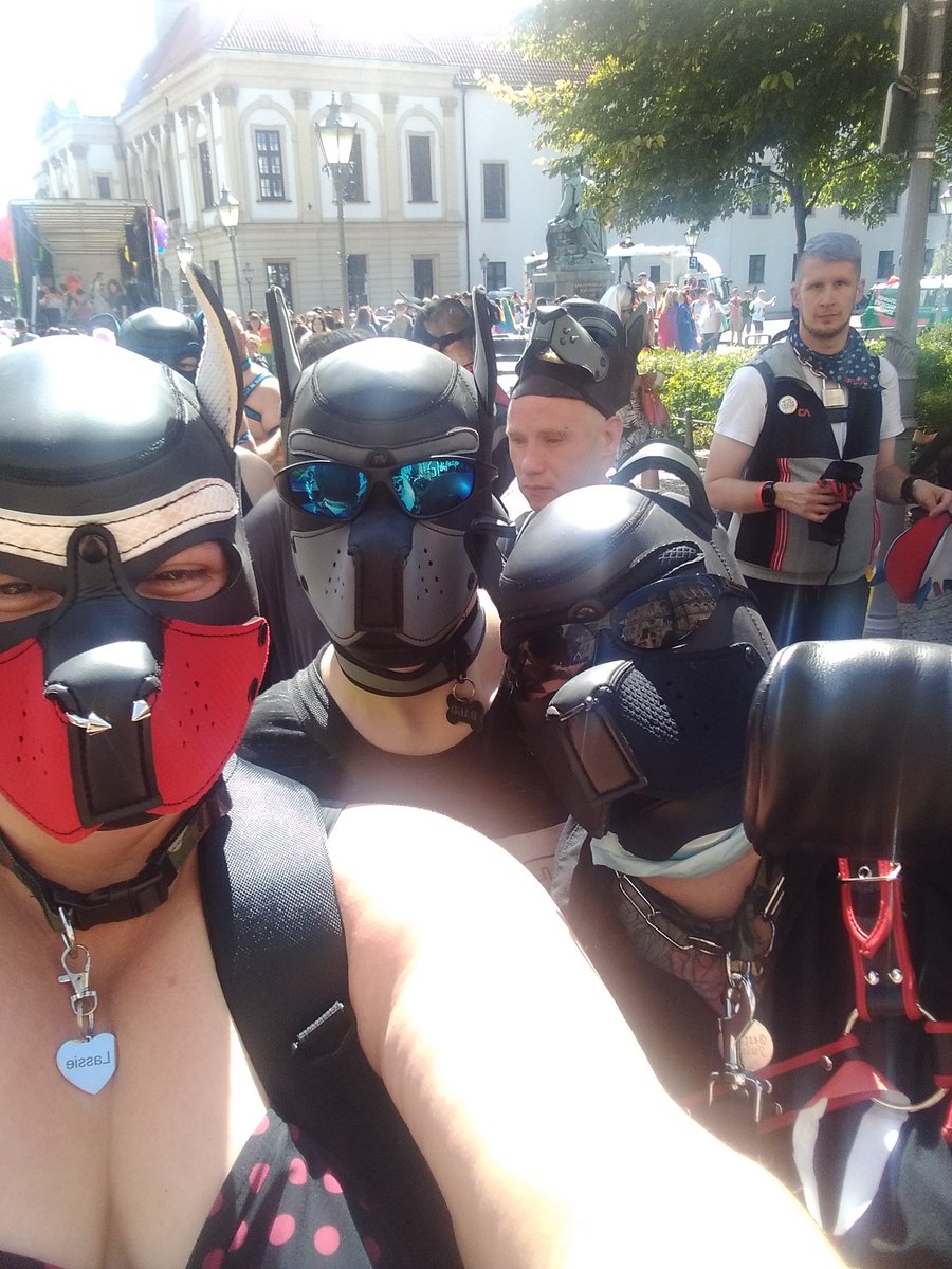 slavedogleica's tweet photo. https://t.co/wKAOAn6YGu