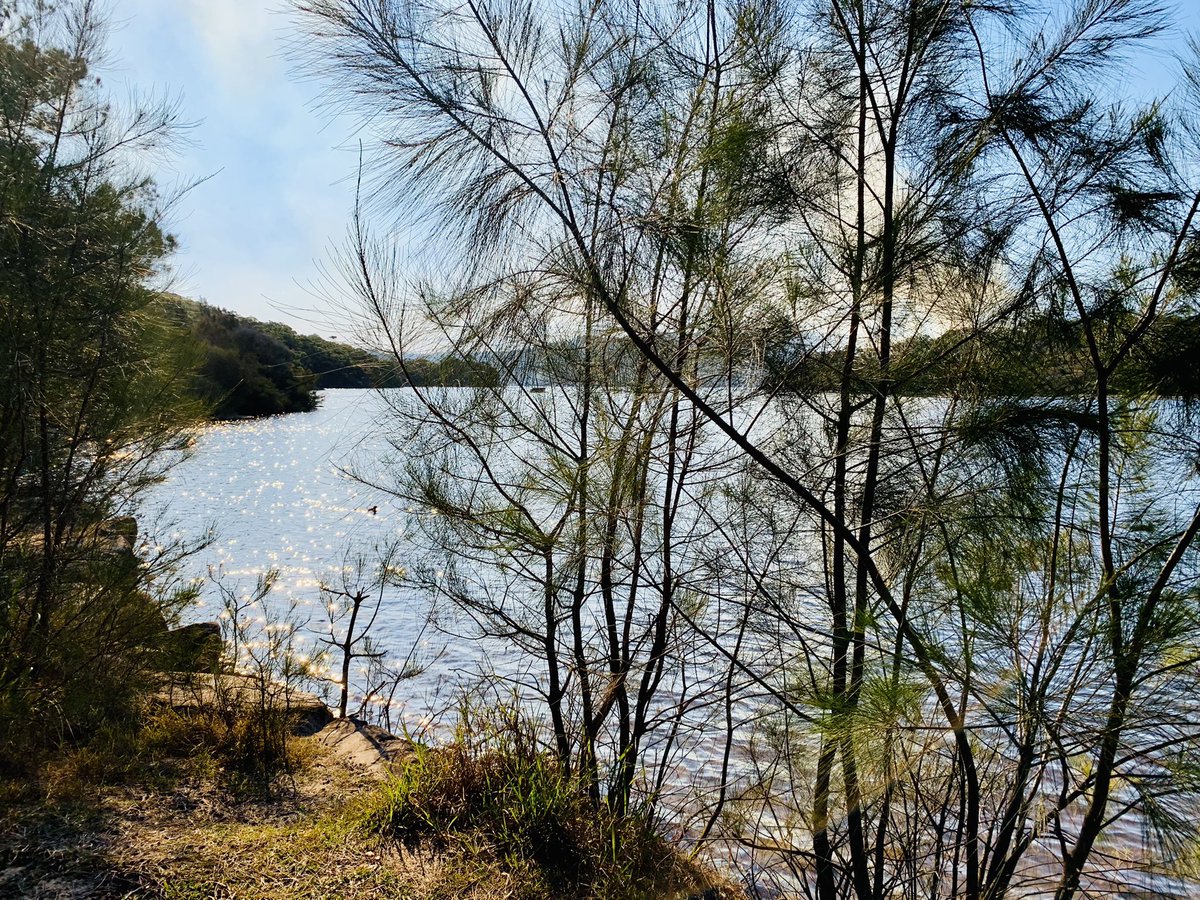 InbetweenJCW's tweet photo. #weekendvibes #lockdownexcise #Manlydam #northenbeach #bushwalks
Back to nature. Healing. https://t.co/mQimmVWUYO