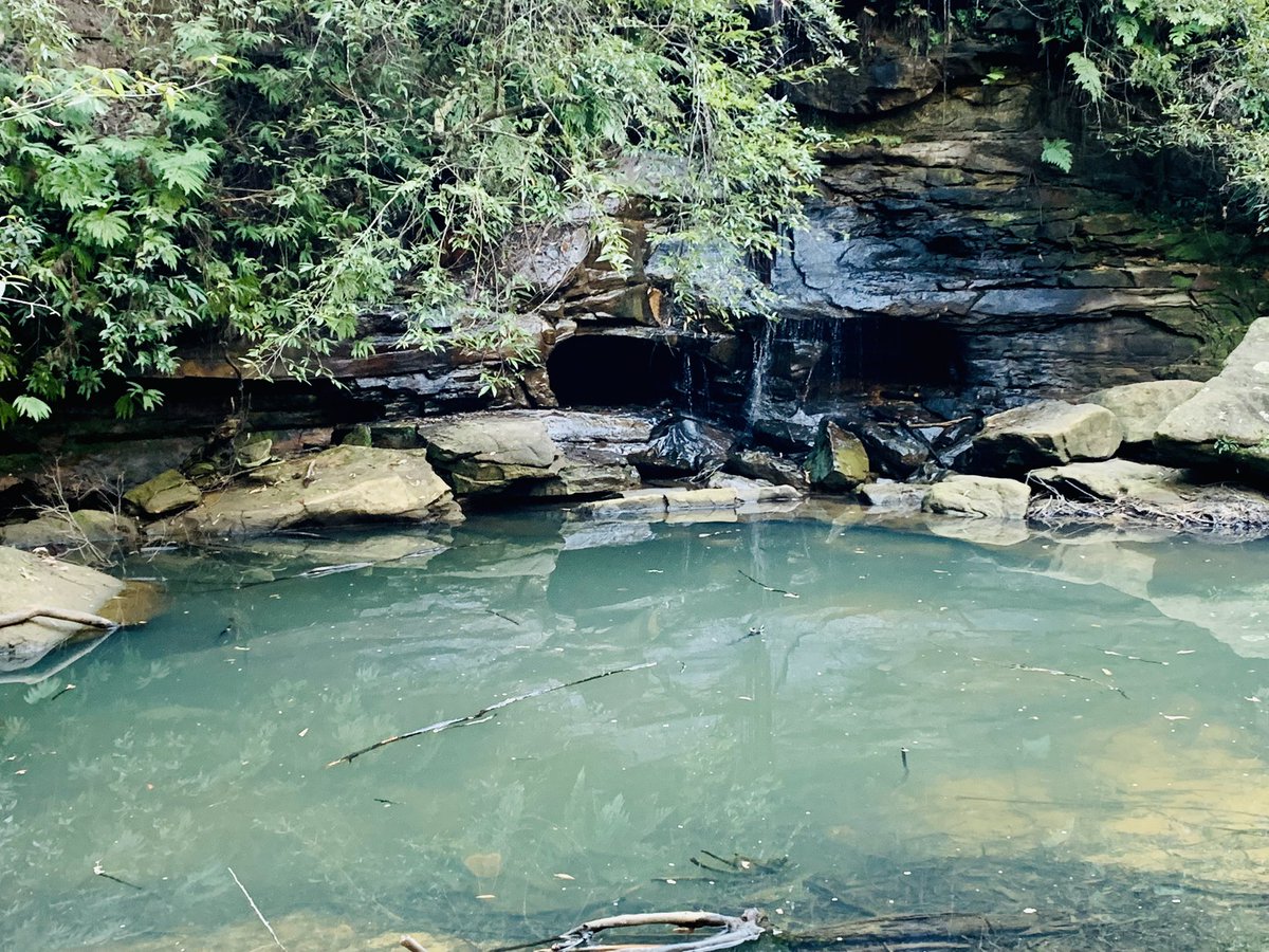 InbetweenJCW's tweet photo. #weekendvibes #lockdownexcise #Manlydam #northenbeach #bushwalks
Back to nature. Healing. https://t.co/mQimmVWUYO
