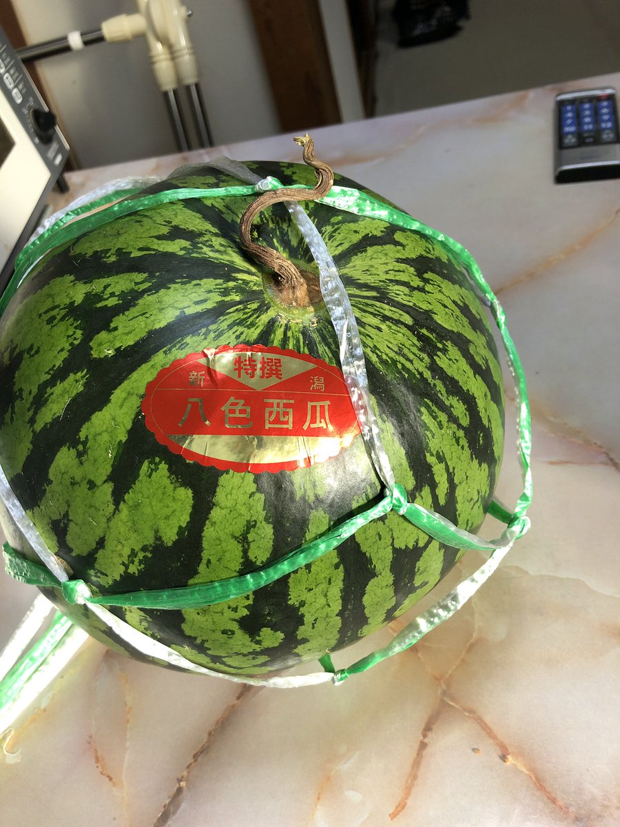 確認どうぞ♥西瓜の皮の色の斑入りです。 これは本物のスイカ🍉？！？！？！！！！！！ もう本物を竹串に刺し