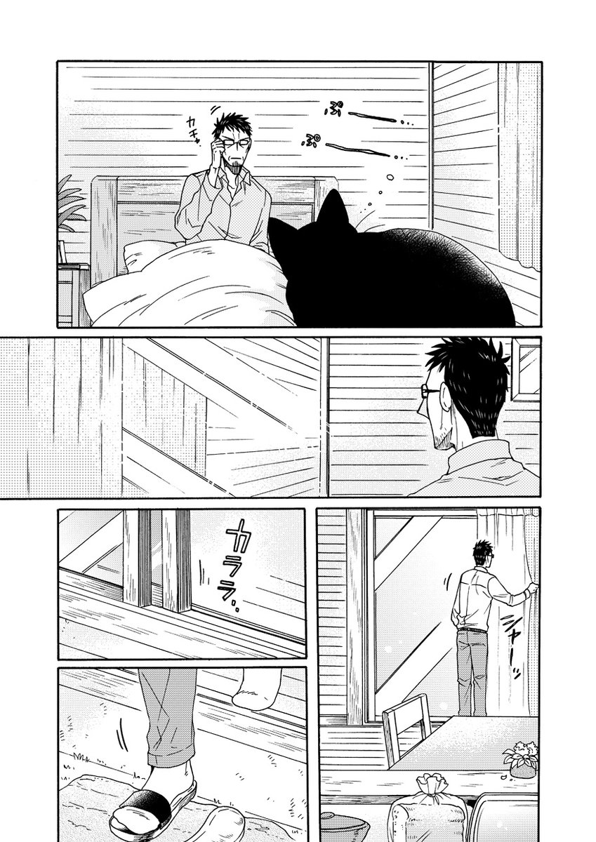 ねこまたと あめあがり🐱🌤️(2/2) 