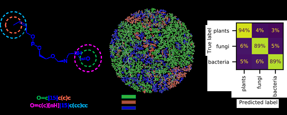 reymondgroup's tweet photo. Join us at the #ACSFall2021 #ACSCINF!
π’ Alice Capecchi's talk: Exploring microbial and plant natural products in the MAP4 chemical space
π
23 August (Tomorrow!)
π https://t.co/zCnM1H9wnt
@DCBPunibern @reymondgroup @alice
#chemtwitter #MAP #chemicalspace https://t.co/oR7Jfi7BMK