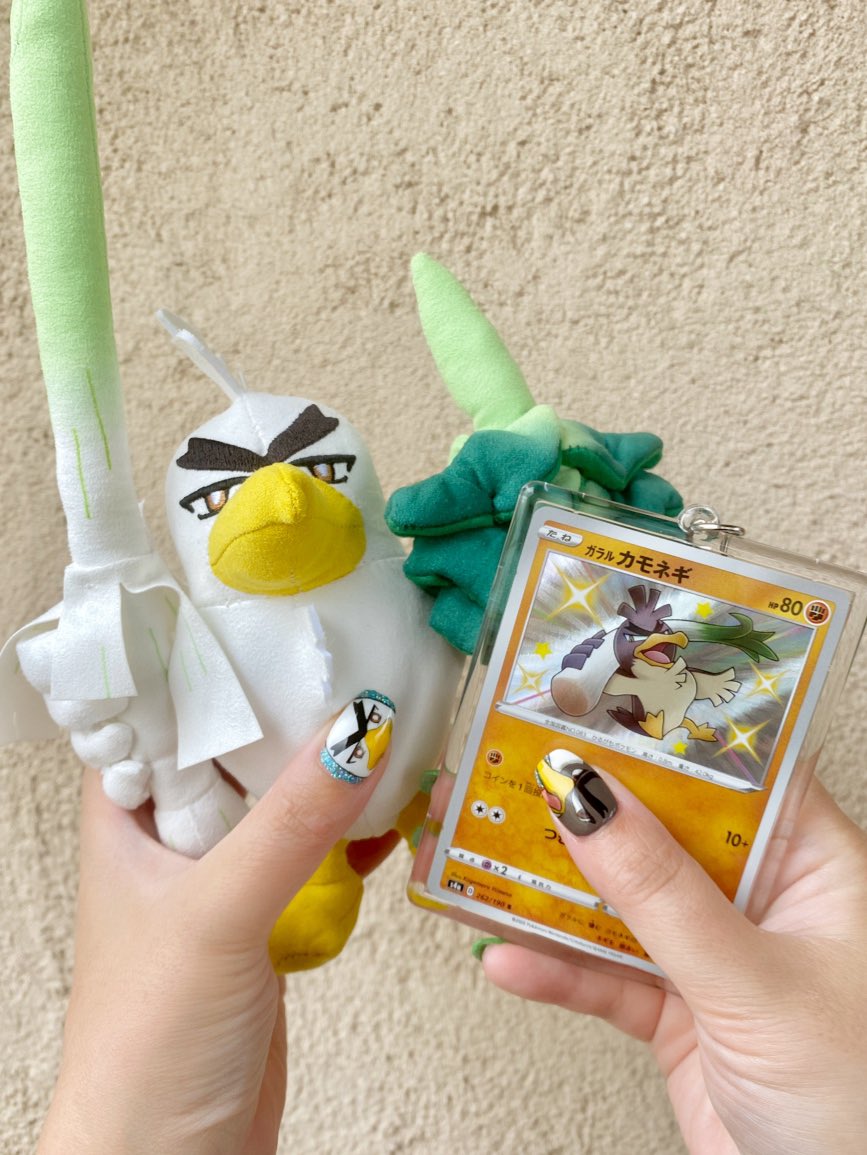 ぴぴ𝑪𝒉𝒂𝒏🐺 tweet media