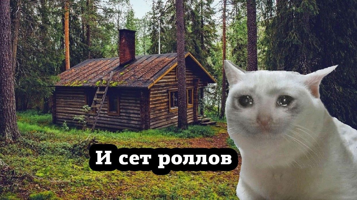 Хочу в отшельники мемы
