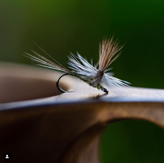 FarmsWhiting's tweet photo. Sweet little Parachute tied by @kurefluer
This one could be the one I chose for tonight’s fishing for grayling and brown trout 🇩🇰
•
•
•
•
#dryfly #fw501 #fishingwithaconscience #ahrexfreshwater #dryflyonly #tørrflue #dryflyfishing #graylingflies #ahrex #ahrexfreshwater https://t.co/z0I7BSARjU