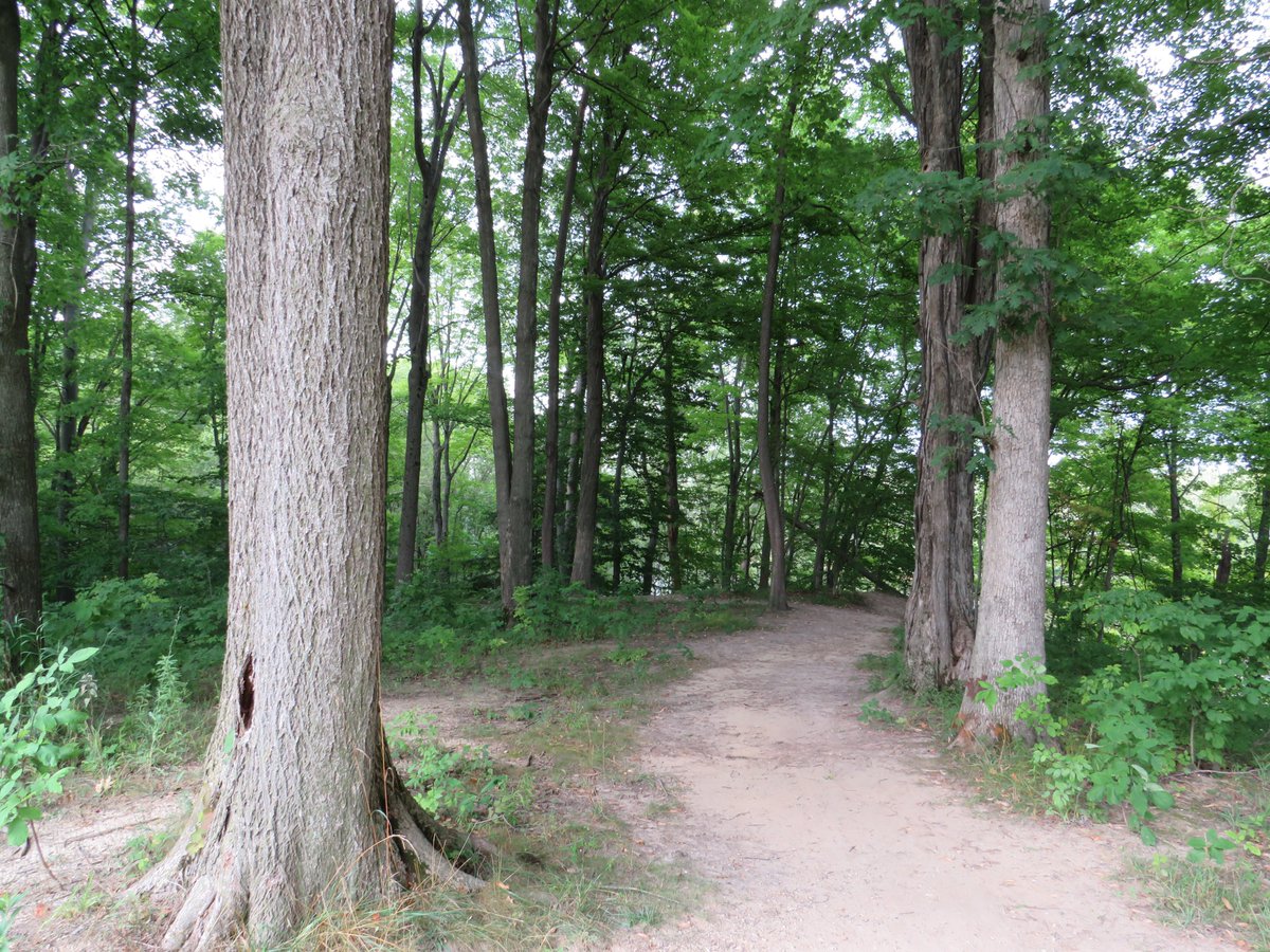 PLKlein_Author's tweet photo. "Two roads diverged in a wood, and i ... I took the one less traveled by, and that has made all the difference." ~ #RobertFrost #ThinkBIGSundayWithMarsha #ThinkingOutLoud #QuickQuotes #SundayMotivation #TwoRoads #LessTraveled #Difference https://t.co/lfOvtDoi39
