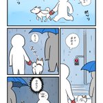 すっと傘をさしている人の元へ･･･!飼い犬とのお散歩中に雨が降ってきたときのお話!