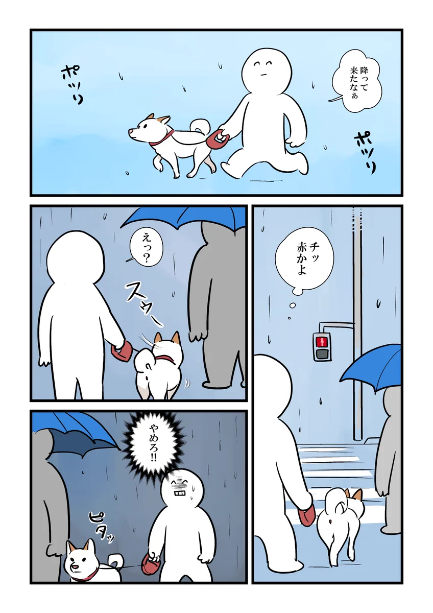 すっと傘をさしている人の元へ･･･！飼い犬とのお散歩中に雨が降ってきたときのお話！