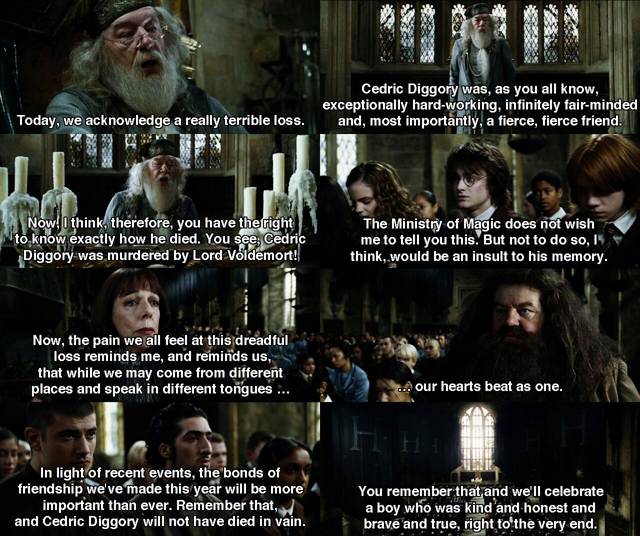 dumbledore goblet of fire meme