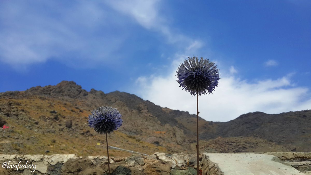 bvafadary's tweet photo. #کلکچال #تهران
#Tehranview00 #Tehranview99 - #Tehranview96
@NatGeoPhotos @ThePhotoHour @adriana57
#photooftheday #photographer @amazinglybeaut #nature #Mountain @Heiko_Jessayan @TheFlowerWorld @WonderfulSpace4 @GatherCAST @Ecaterina_02 @Enjoy_Nature_ @DonnaMarieWil18 https://t.co/XNouJ7KuUM