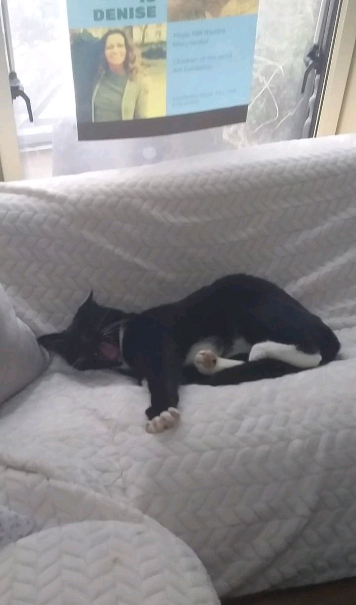 Justagirl2017x's tweet image. I&apos;m a #writer. It&apos;s what I do. I love it.
I&apos;m also in #recovery which means that sometimes I just need some time to gather my thoughts and to sit with my cat...
Justagirl.emyspot.com 
#mentalhealth
#RecoveryPosse #odaat #amwriting