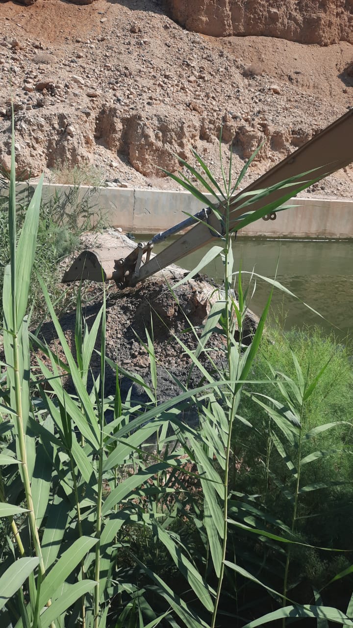 الصورة