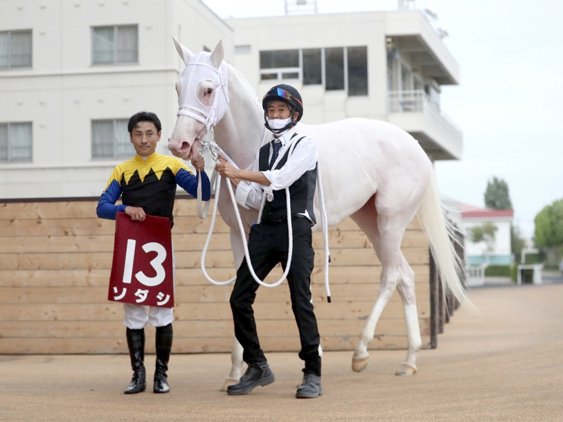 【未開封】ブチコ　フィギュア付ポーチ　ソダシの母 競馬 ウマ娘 未開封】ブチコ フィギュア付ポーチ ソダシの母 競馬 ウマ娘（未