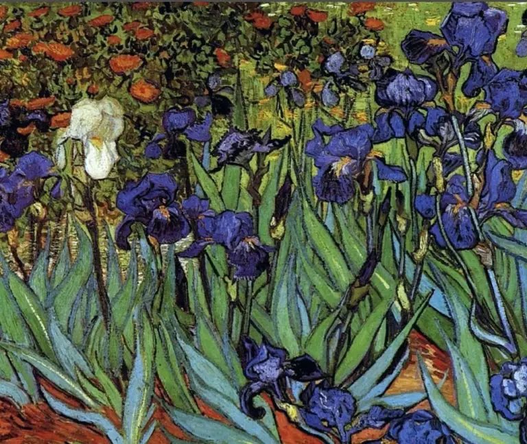 Цветы картинки для детей с названиями. Разные цветы. Какие цветы изображены. Цветы названия. Цветы названия.