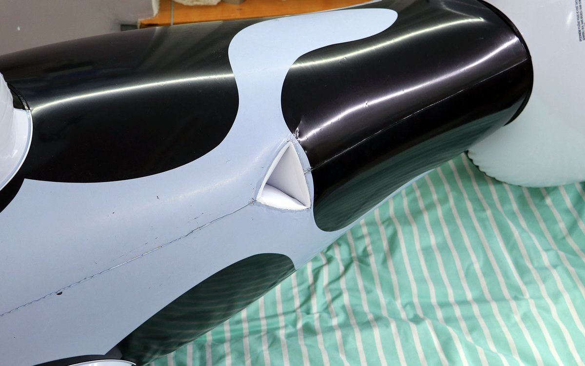 InflatableDolph tweet picture