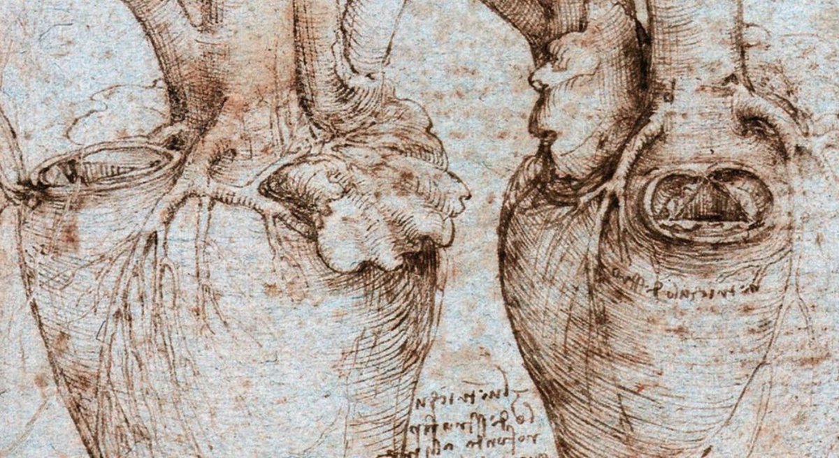 Анатомические зарисовки Леонардо да Винчи