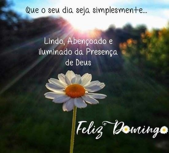 Gilcélia⚘ on Twitter: Gilcélia⚘ on Twitter: