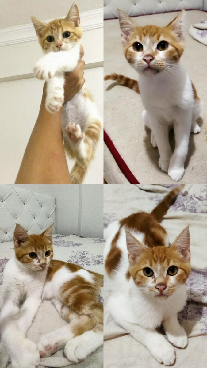 nilüfer 🌱 (@hunnykoko) on Twitter photo 