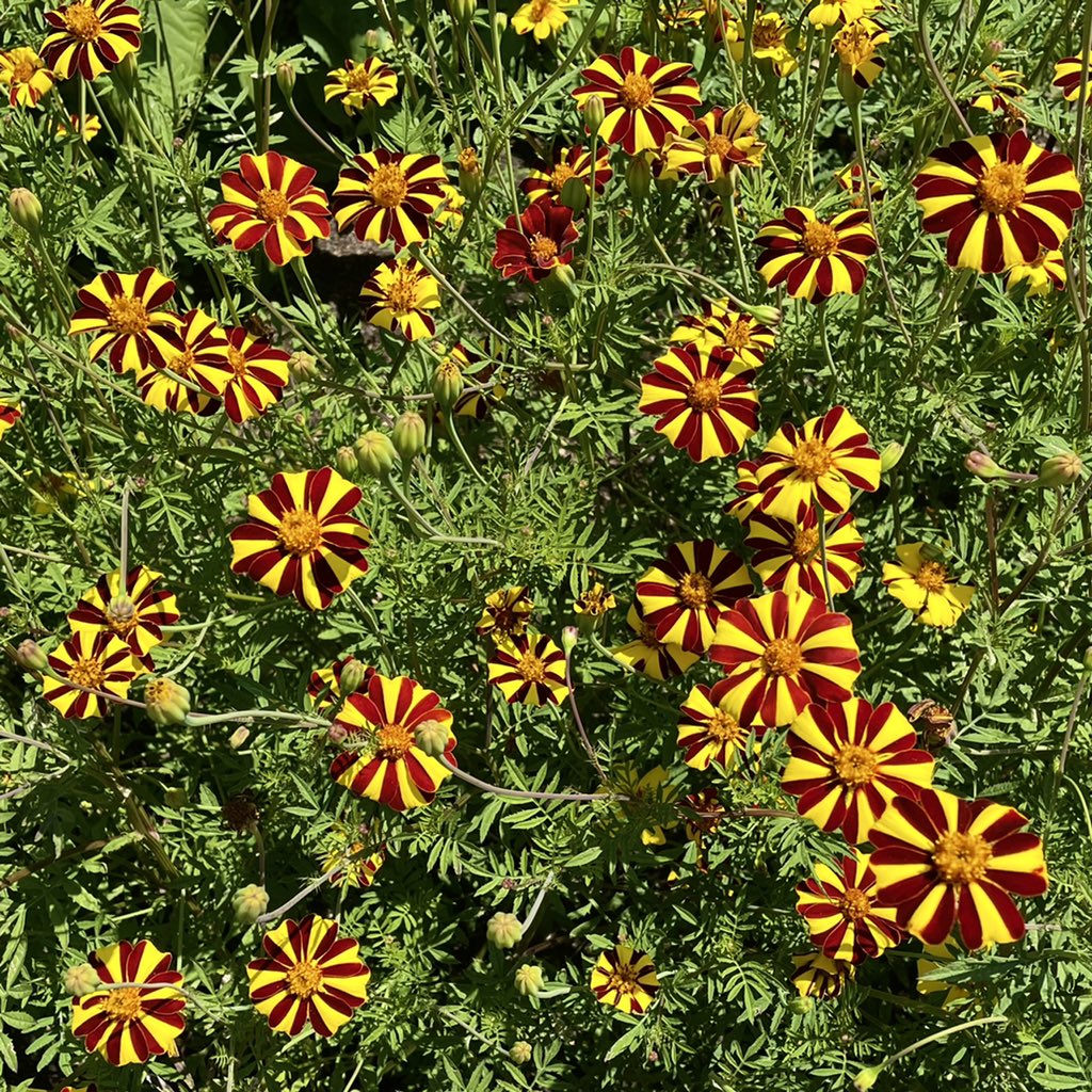 Jessica Christian tweet media