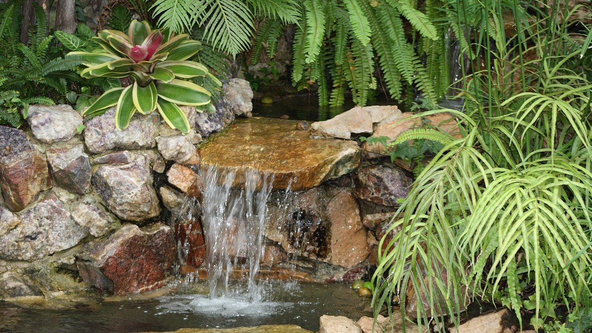 friendsTBcon's tweet photo. Lovely day to explore #ThunderBay's Centennial Botanical Conservatory. It's a tropical paradise, right here at the head of Lake Superior.
Open 10am-4pm daily. Masks are mandatory. Donations welcomed at the door.
#tbaylovin #tbay #botanicalgarden #tbaycation #staycation https://t.co/7rxgV9Fc5T