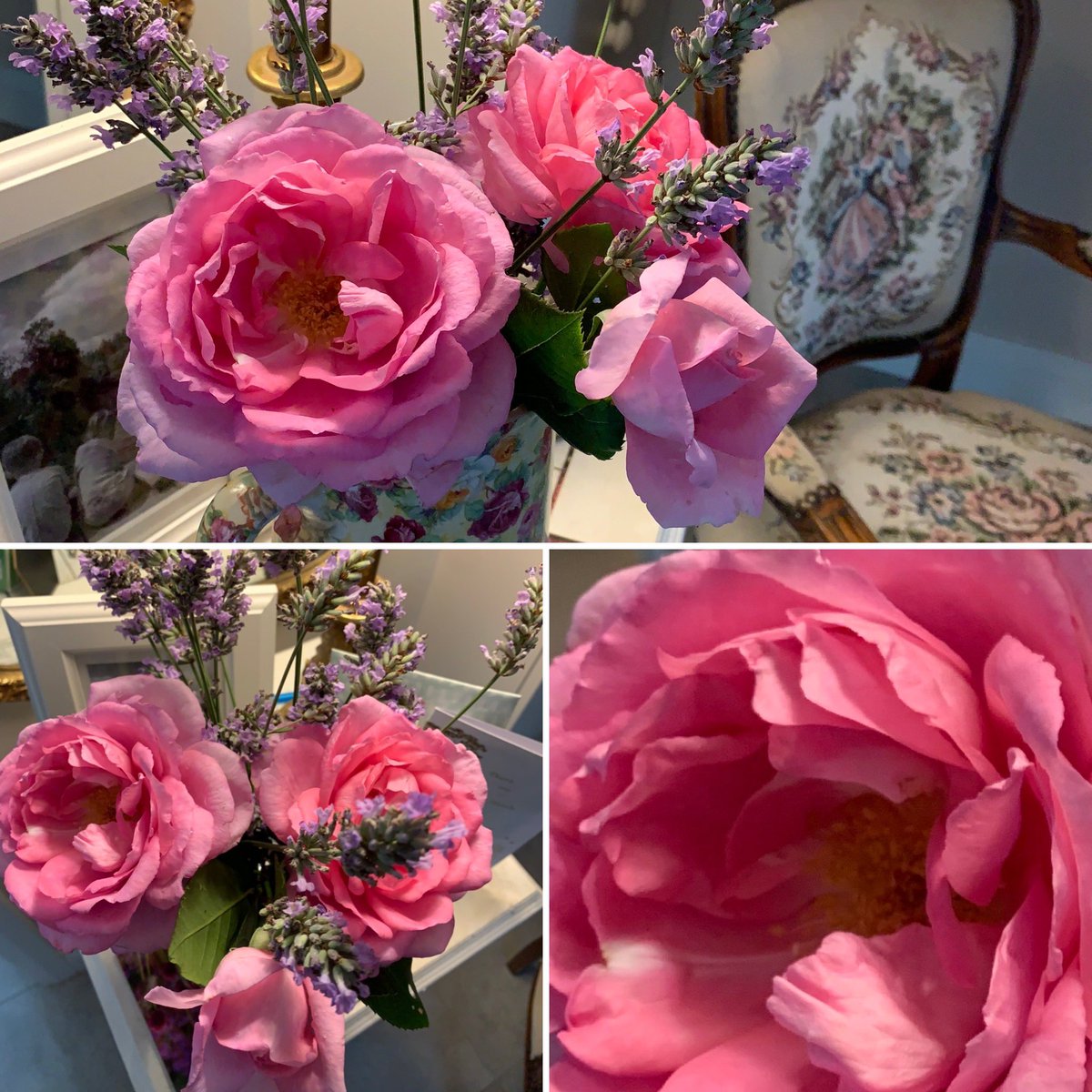 #Scent #FreshCuts #Lavender and #Roses