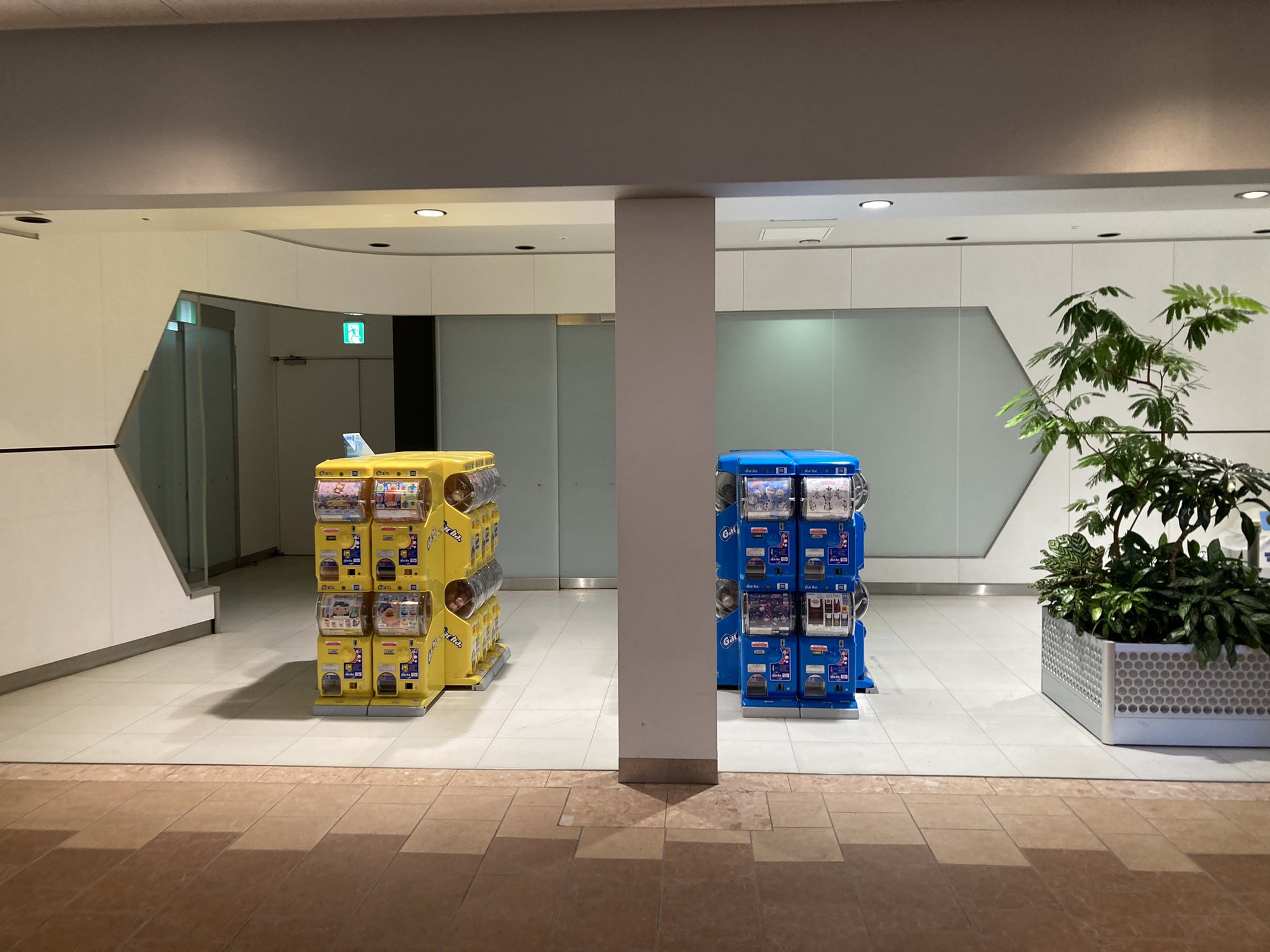 明日宮黎亜 移転前のポケモンセンターヨコハマ跡地もといbaystore跡地を見に行ったら 店の前のスペースがガチャガチャコーナーになっていて 店の中は空店舗のままのようでした Baystoreが営業終了したのがきょねんの8月23日だったので ちょうど1年間空