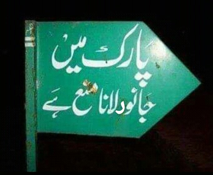 MushihoonYar's tweet photo. Every masterpiece has its cheap copy.❤😆
#HumSySaafPakistan https://t.co/anXpfpYtD6