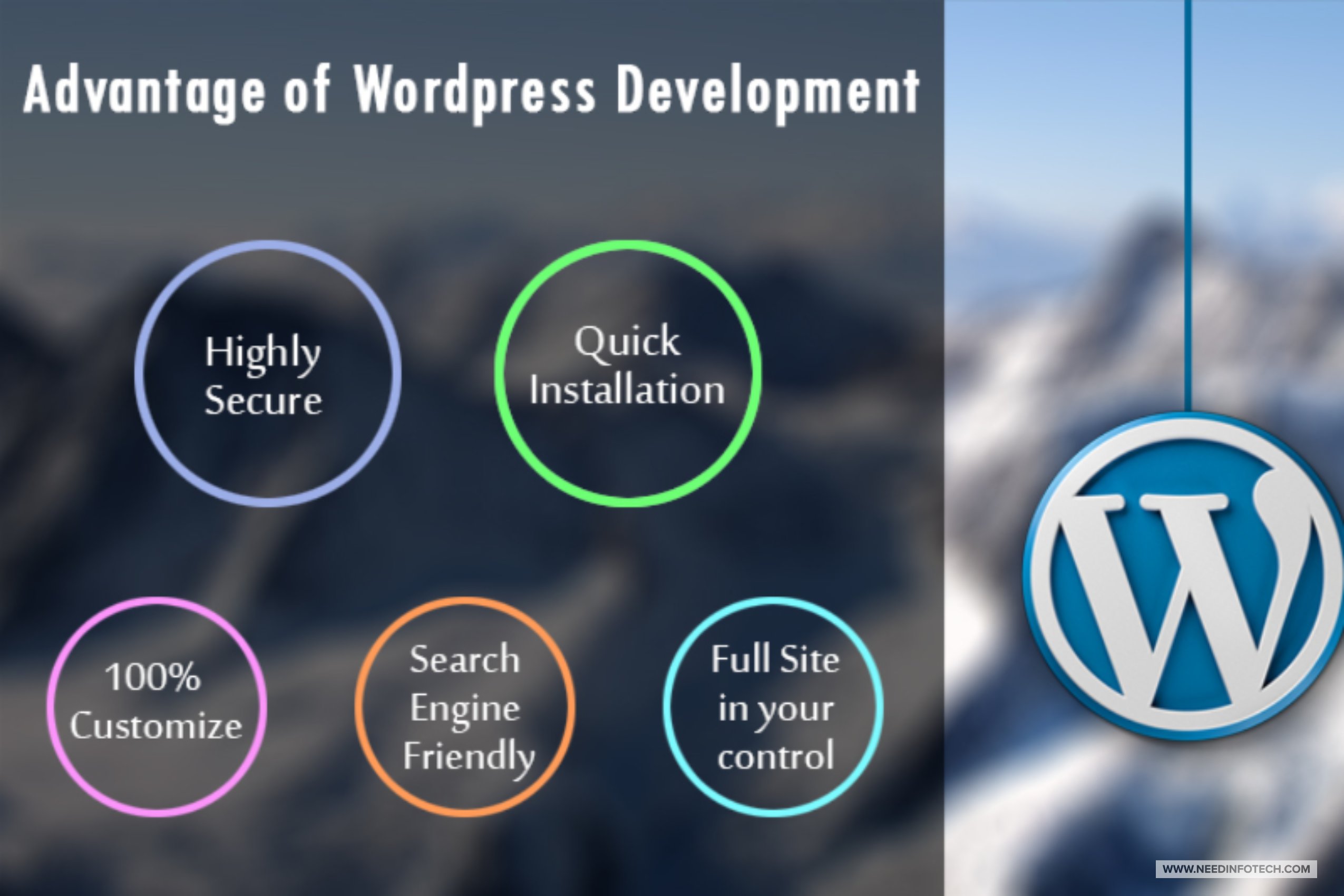 Создание современного сайта на WORDPRESS