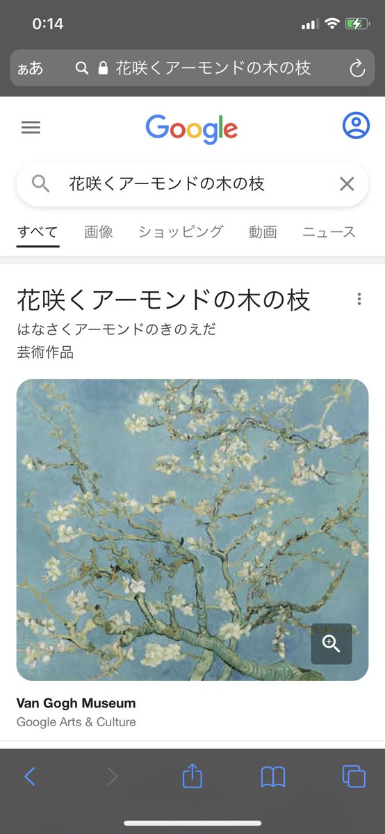 森象 Morizo 3103 Twitter