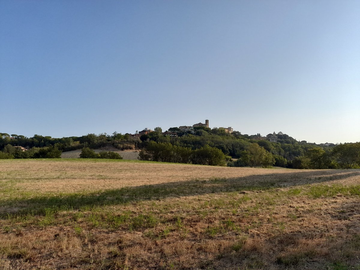 Sabo82AS's tweet photo. #Buonpomeriggio a tutti dal mio piccolo paesino marchigiano. Mi godo questa bella tranquillità prima di rientrare a Roma.
#Polverigi https://t.co/aknkXOxGfW