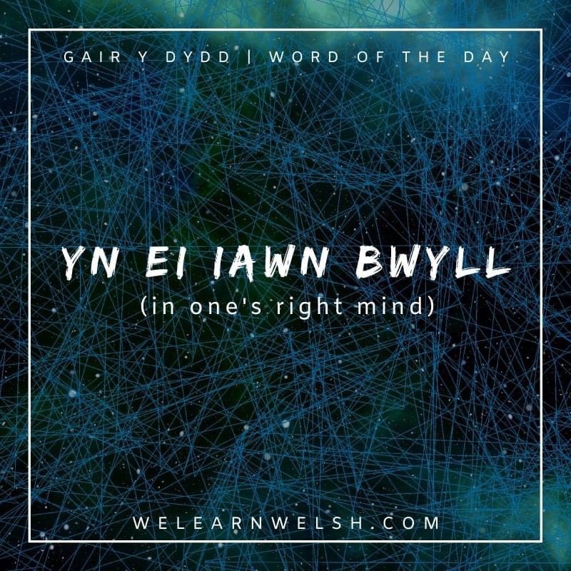 We Learn Welsh (@welearnwelsh) on Twitter photo Gair y dydd / Word of the day: yn ei iawn bwyll (in one's right mind)
Pwy yn ei iawn bwyll fase'n cymysgu siocled a broccoli? = Would in their right mind would mix chocolate and broccoli?
#welsh #cymraeg Gair y dydd / Word of the day: yn ei iawn bwyll (in one's right mind)
Pwy yn ei iawn bwyll fase'n cymysgu siocled a broccoli? = Would in their right mind would mix chocolate and broccoli?
#welsh #cymraeg