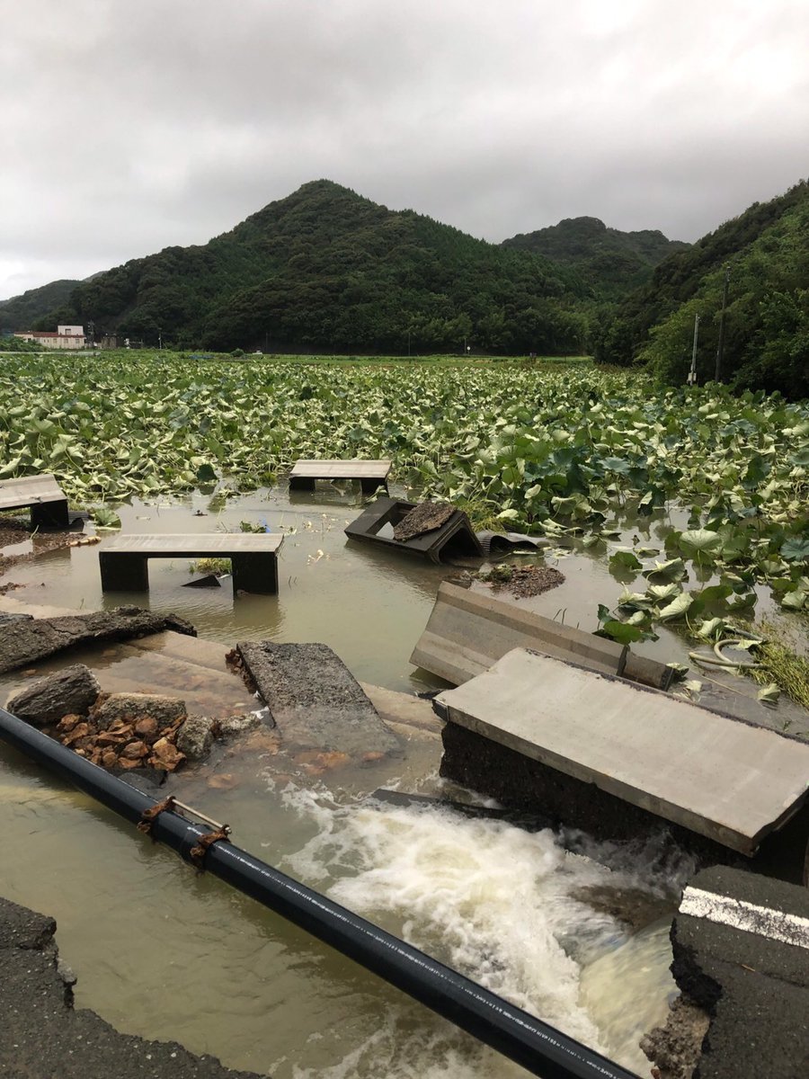 agri0607's tweet image. 写真もぜひ。

一次産業の現場では、本当に苦しんで耐え抜いている方がたくさんいます。高浜ロータスガーデンさんの他にも、被災した生産者さんをまとめています。
tabechoku.com/groups/868

応援チケットまたは元のツイートのRT、お願いします。
#農家漁師からのSOS #拡散希望