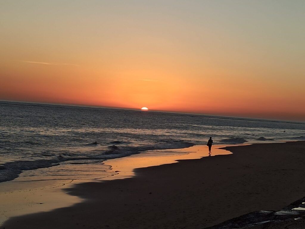 queesparatilaf2's tweet photo. Paseos bajo un precioso atardecer en Rota #mejoratardecer bestsunset
.⠀ ⠀⠀⠀⠀
#playasderota #descubrerota #rotabeach #rotaspain #discoverrota #enjoyrota #rotathetasteofhappiness #verano2021 #summer2021 https://t.co/m3HHKIRkGP