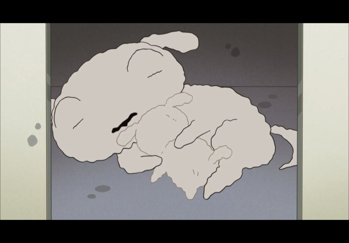 mys80_'s tweet photo. 흰둥이 털로 만든 아기흰둥이 https://t.co/TbqxbYzI03