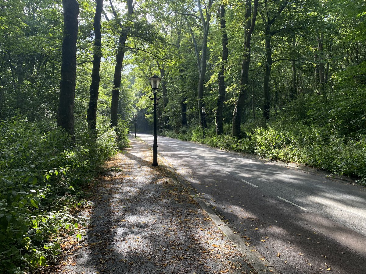 I just love running in the rain, having the forest and streets to myself. No need to take shelter, I’m getting drenched anyway. After lots of summer rain, the sun showed itself again. A good run in the rain clears the head I find #runner #running #runningmotivation #mindful