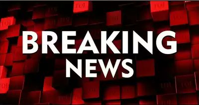 #SUDOKU INU will soon showcase it's platform demo. Delaying release of version to update and add new sections in trial version .
Then the list of new exchanges will be announced
#sidechain #sudokuchain #sku $sku