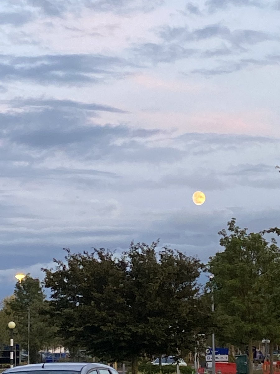 leeknow850 tweet media