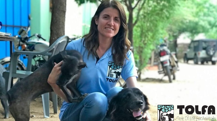 TOLFAcharity's tweet photo. IT'S WOMEN'S EQUALITY DAY EVERY DAY AT TOLFA
Can we get some appreciation for the strong, compassionate & hardworking women in #TeamTOLFA ?
Tija, Mohani, Jemma & Rachel are dedicated animal lovers who give their all for our animals.
#WomensEqualityDay #AnimalRescuers #TOLFA https://t.co/joKdMT4uXU