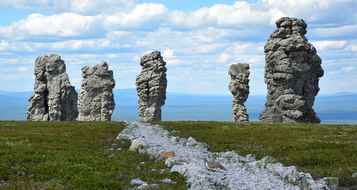 Russia's tweet photo. Today Russia's #KomiRepublic turns 💯!
🌲 A land of primordial wilderness and vast expanses: nature reserves, 78K lakes, endless virgin forests (World Heritage Site!), massive marches, old traditions and the famous #Manpupuner.
No better place to commune with nature.
#Komi100 https://t.co/lmcIhRJaGD